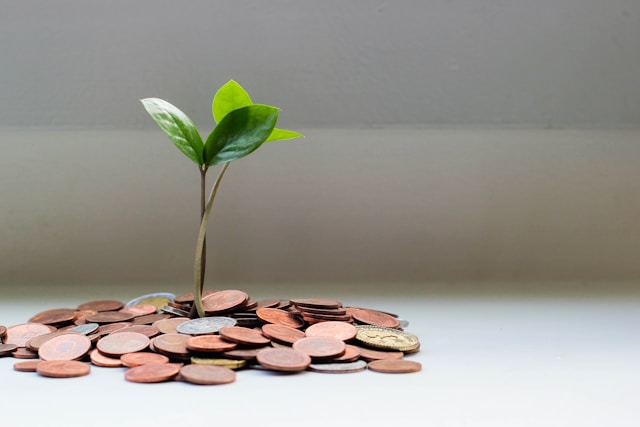 Opportunities for Growth